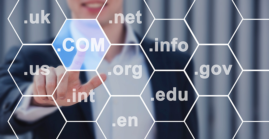 Domain Name Search