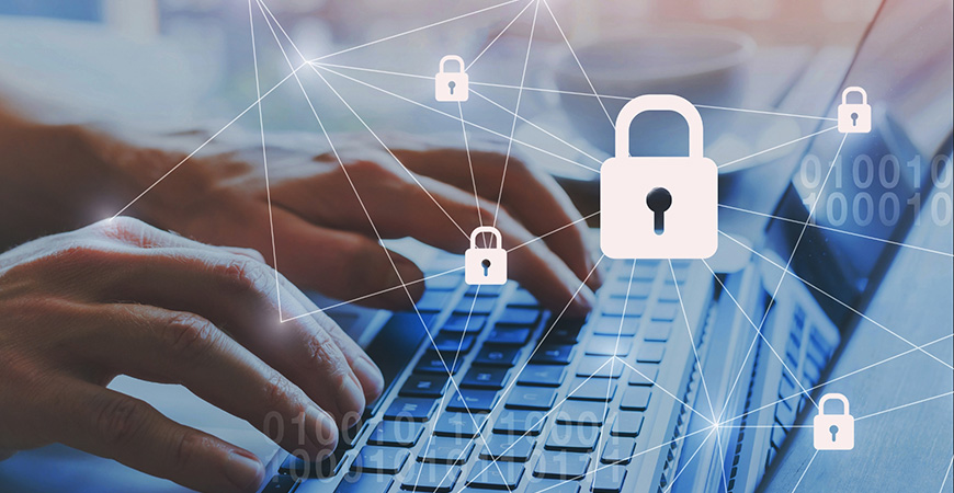 Domain Privacy Protection
